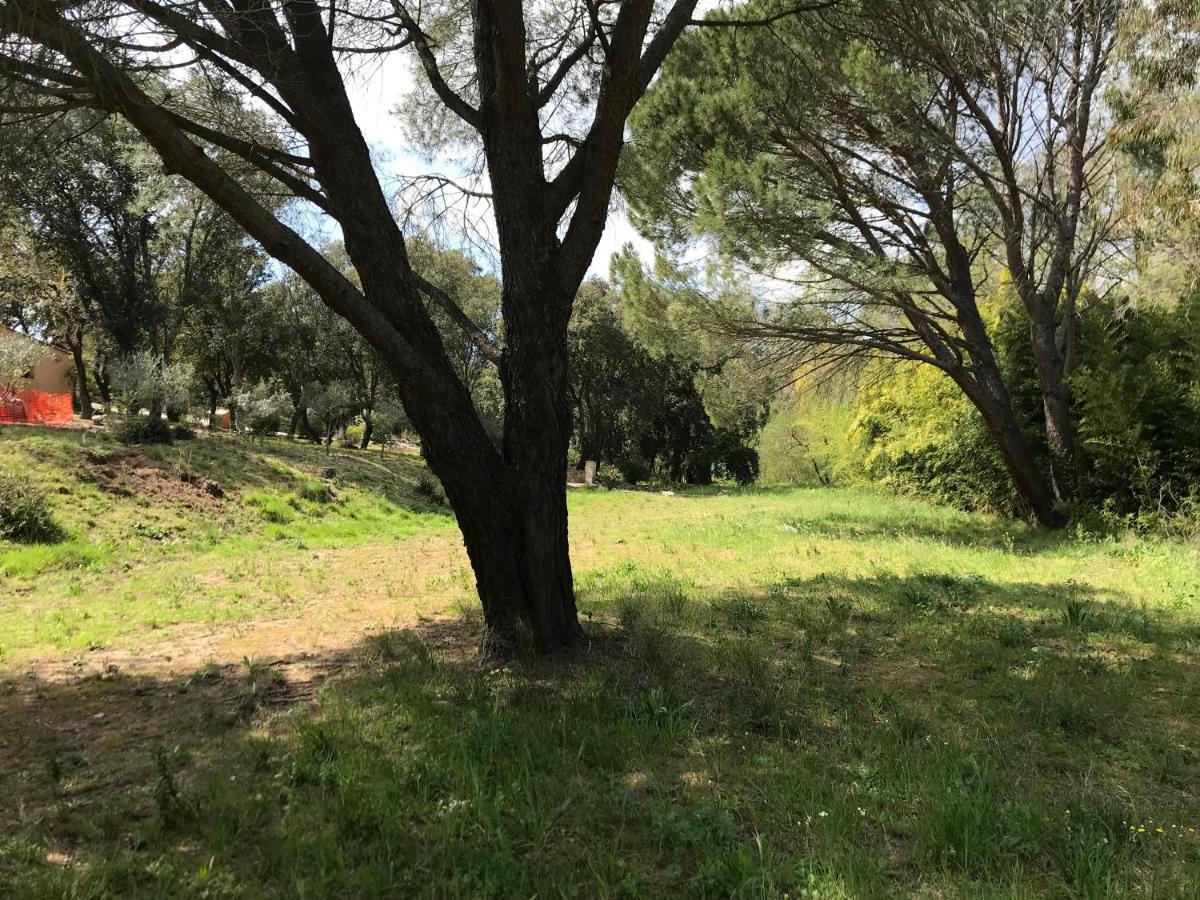 Hôtes d'Azur au Mas de Cocody Le Plan-de-la-Tour Extérieur photo