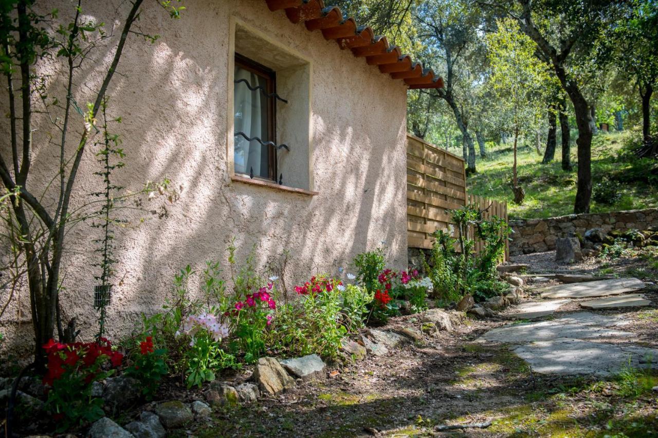 Hôtes d'Azur au Mas de Cocody Le Plan-de-la-Tour Extérieur photo
