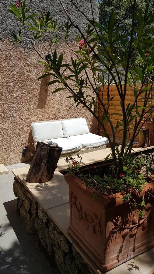 Hôtes d'Azur au Mas de Cocody Le Plan-de-la-Tour Extérieur photo